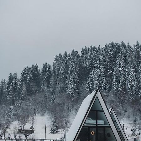 Mountains Hut Villa Mykulychyn Buitenkant foto